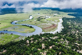 Community-Run African Reserve that Stores Almost a Billion Tons of Carbon Quietly Celebrates its 20th Anniversary